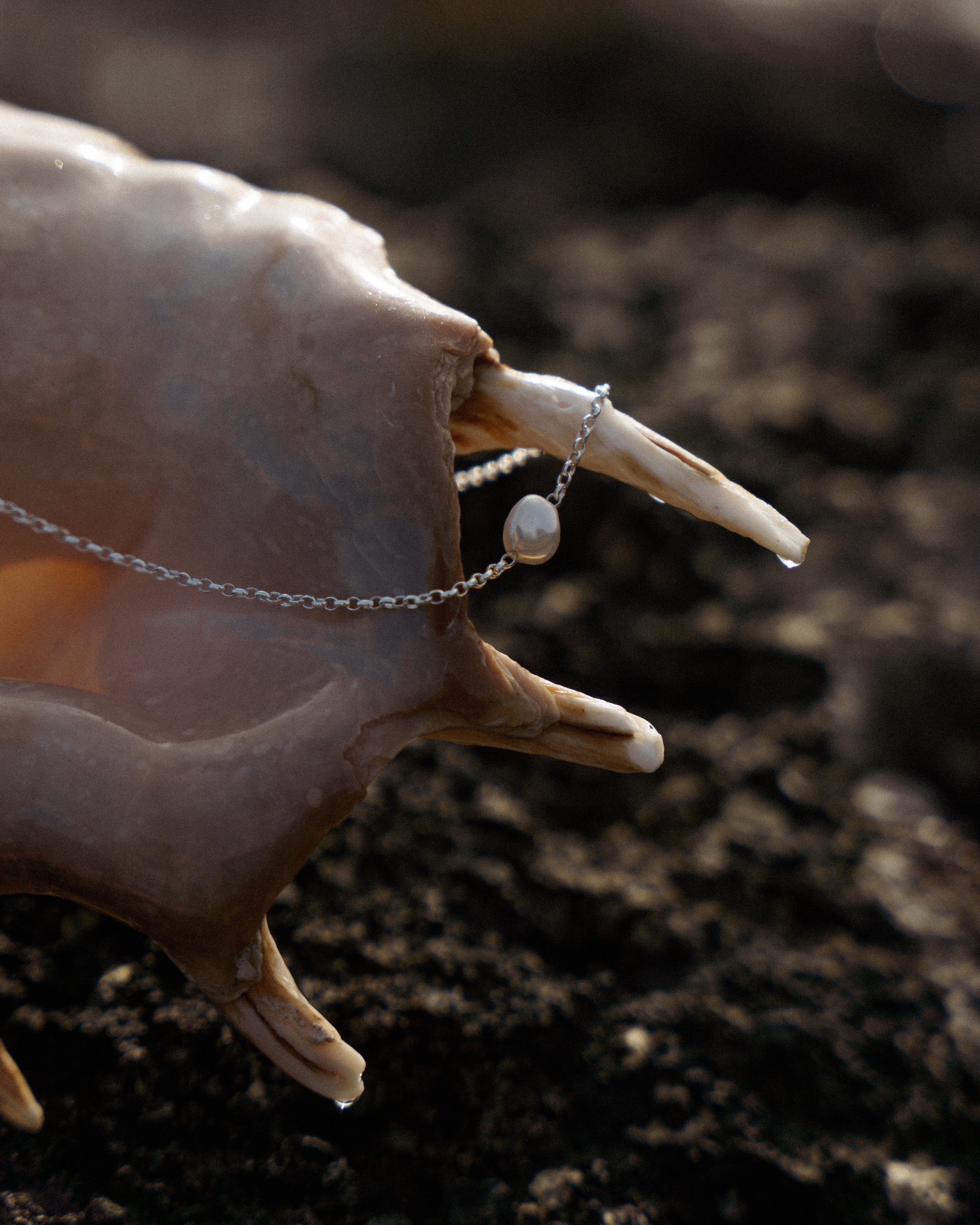Keshi Pearl Necklace